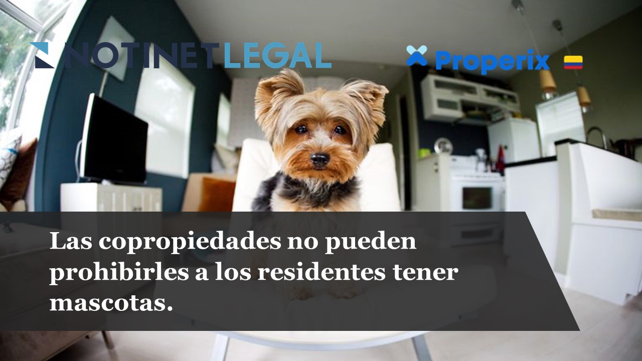 Las copropiedades no pueden prohibirles a los residentes tener mascotas