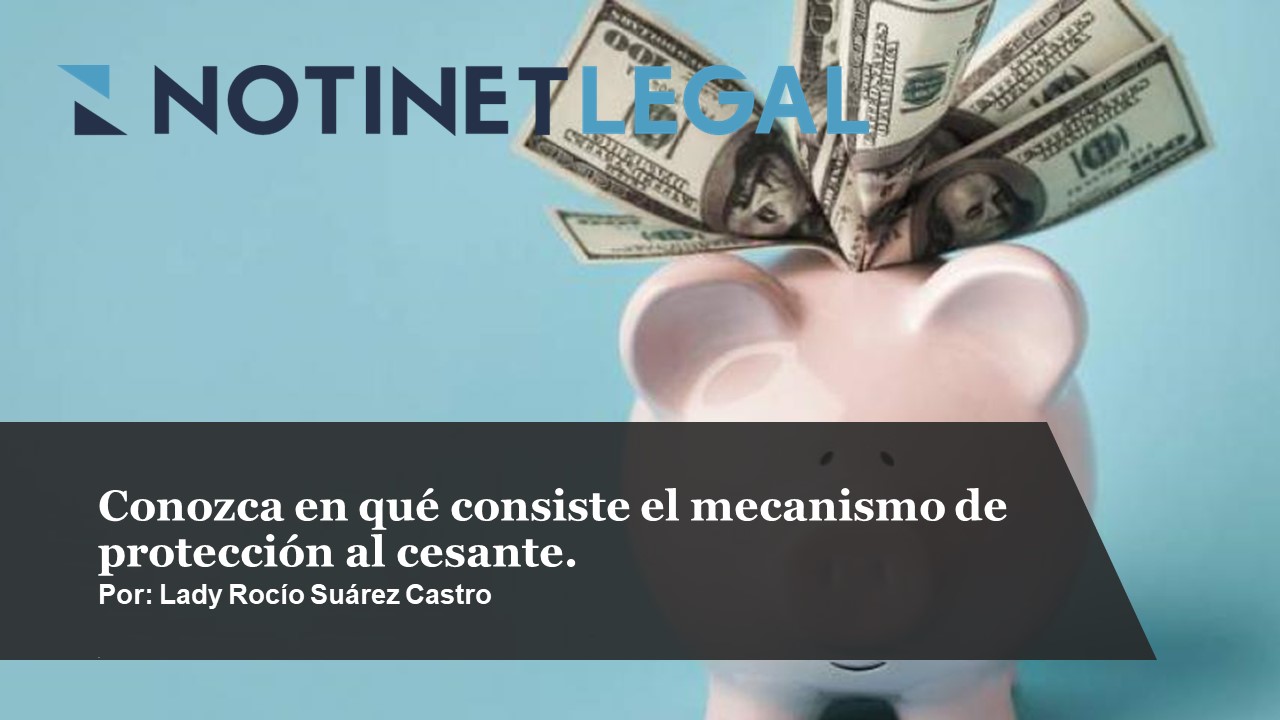 Notinet Legal - Conozca En Qué Consiste El Mecanismo De Protección Al ...